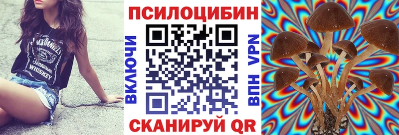 Галлюциногенные грибы Magic Shrooms  Болхов 